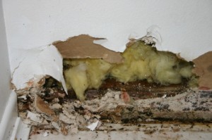 Slab Leak Repair Services in Dallas Texas